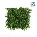 دیوار سبز مصنوعی پونه Mana Chaman