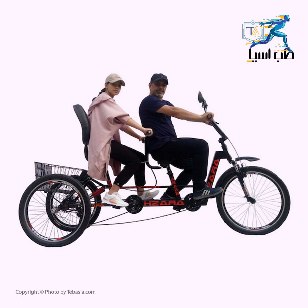 tebasia-co-Dual-Tricycle2