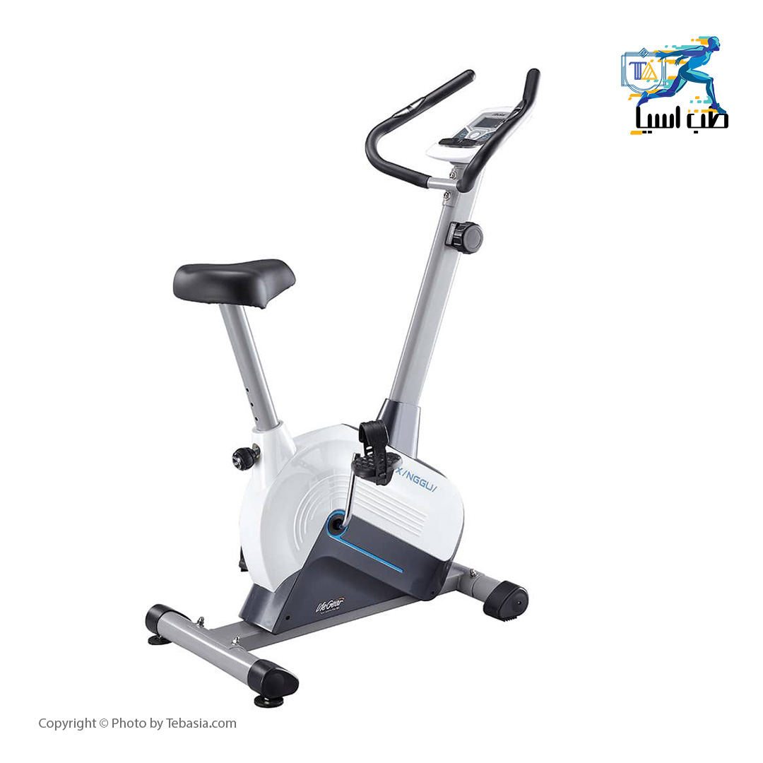 life gear recumbent bike