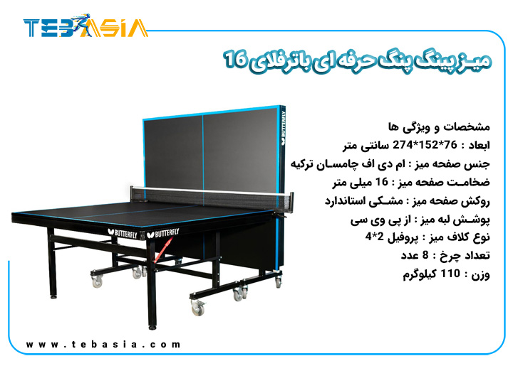 Butterfly Table Tennis 16
