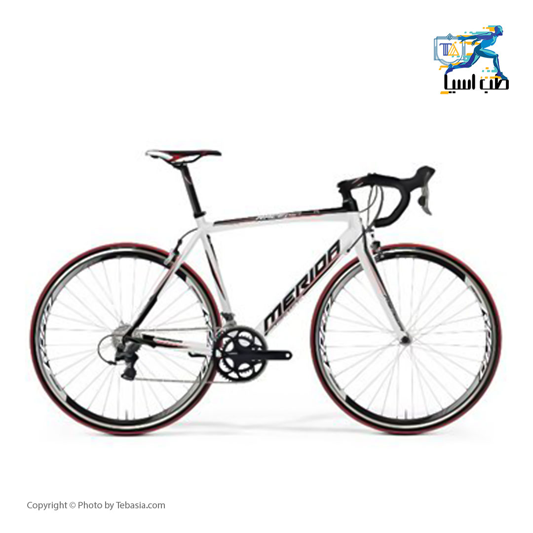 دوچرخه کورسی مریدا مدل RACE LITE 905 