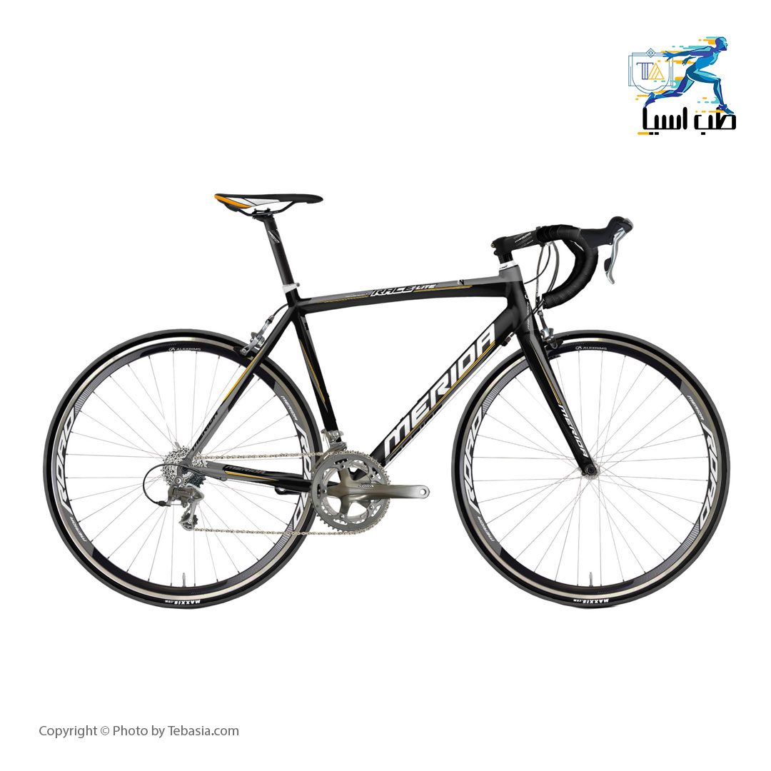 merida race lite 901 price