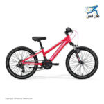 دوچرخه کودکانه مریدا مدل Matts J20 سایز 20 اینچ