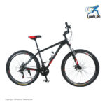 دوچرخه کوهستان الکس اکسل سایز 29