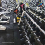 رک دمبل 3 طبقه آسمان فیتنس