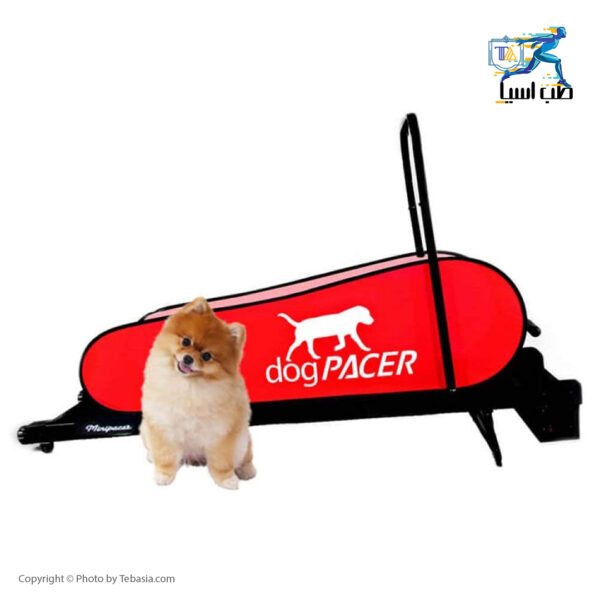 تردمیل سگ داگ پیسر مدل dogPACER Minipacer