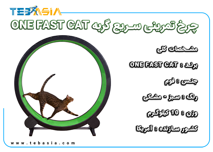 چرخ تمرینی سریع گربه ONE FAST CAT