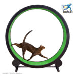 چرخ تمرینی سریع گربه ONE FAST CAT