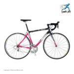 دوچرخه کورسی جاینت مدل TCR ALLIAN TM سایز 28 اینچ