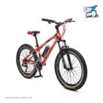 Alex Federal mountain bike size 24