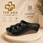 صندل طبی لژدار پانی پاطب اسیا